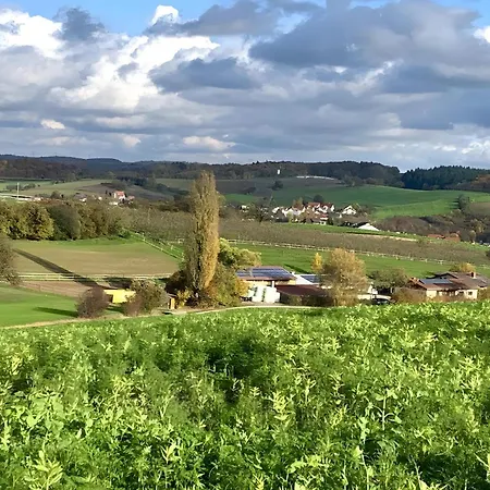 Pensión Am Hohberghof Dielheim